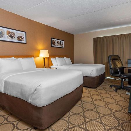 Comfort Inn Campbellton Buitenkant foto