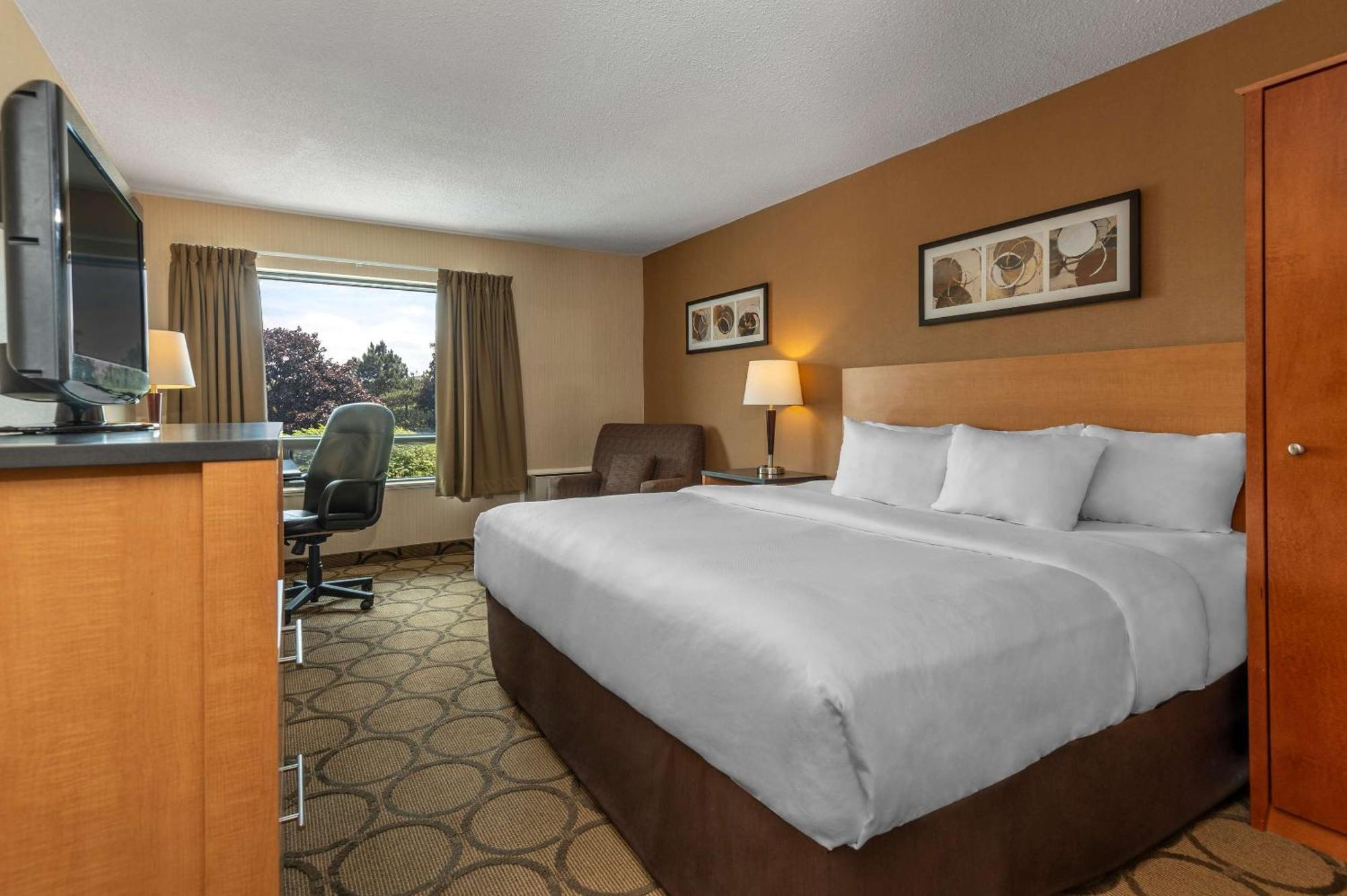Comfort Inn Campbellton Buitenkant foto