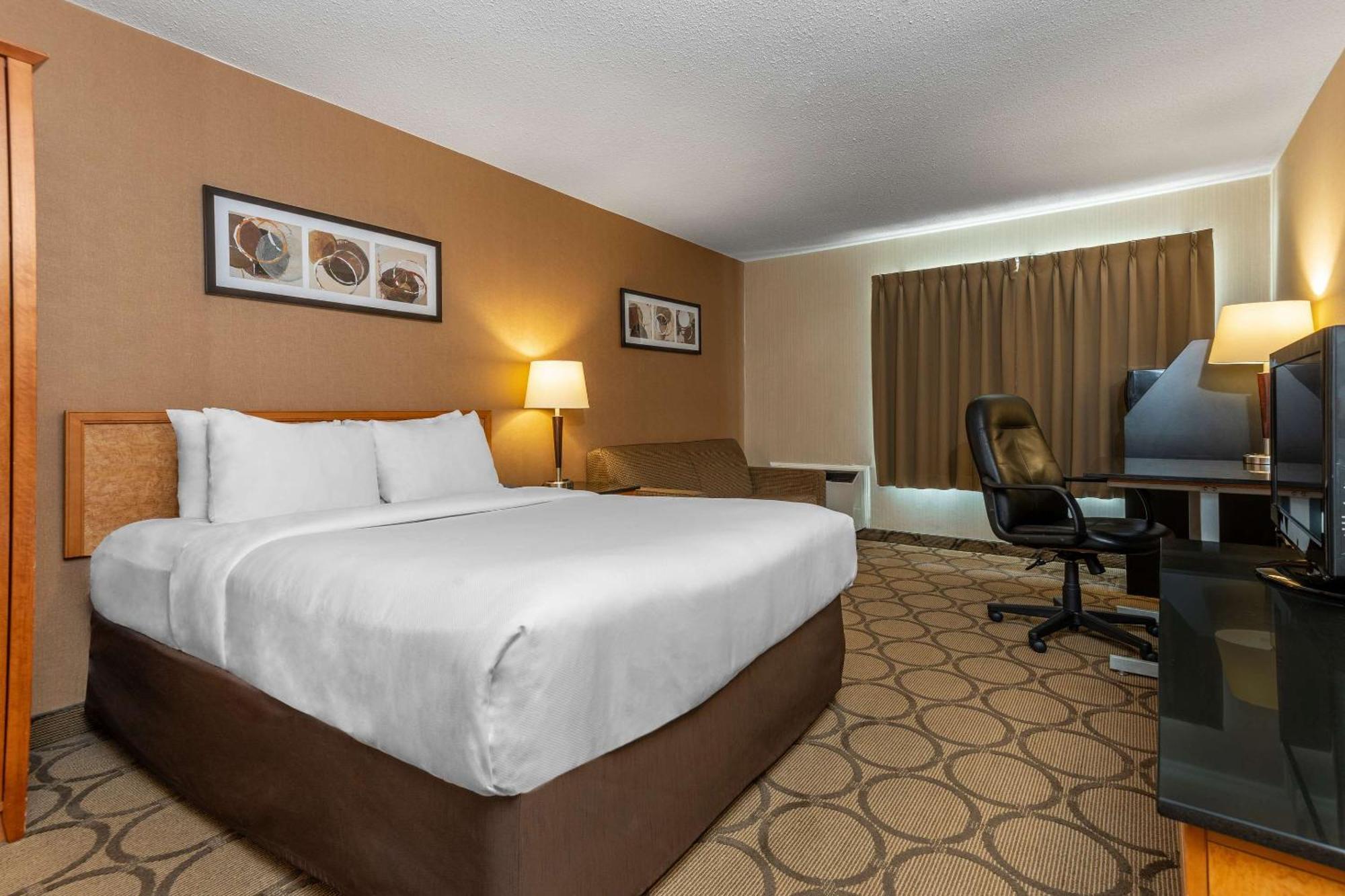 Comfort Inn Campbellton Buitenkant foto